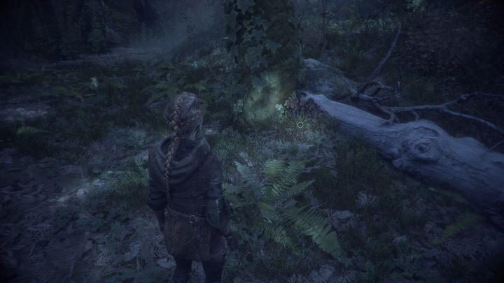 In this section, you will find the Chamomile - A Plague Tale Innocence: Hugo Herbarium - list of all flowers - Secrets and collectibles - A Plague Tale Guide