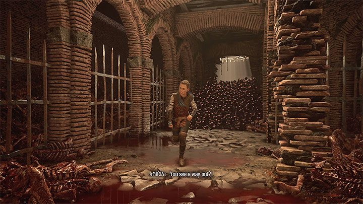 Following the collapse of the wooden platform, you're now facing rats for the first time - and there are a lot of them - Plague Tale Requiem: Chapter 2, Exit the arenas underground - walkthrough - Chapter 2 - Newcomers - A Plague Tale Requiem Guide, Walkthrough