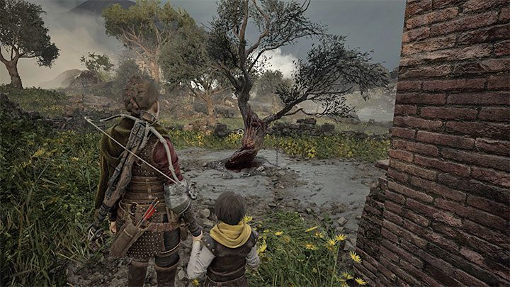You'll reach a tree with a doll near it - Plague Tale Requiem: Chapter 10 (Bloodline) - list of secrets - Hugo Herbarium and Souvenirs - A Plague Tale Requiem Guide, Walkthrough