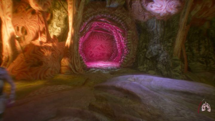 Run into the pink wall - it is a portal that leads to another location - Part 4 The Forsaken Cathedral | Agon Walkthrough - Walkthrough - Agony Game Guide