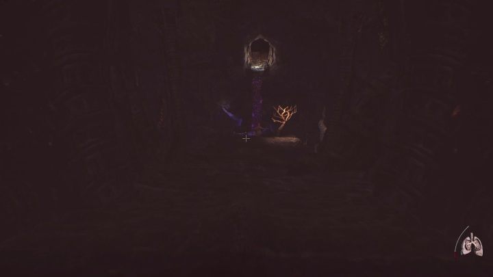 On the first level, after leaving The Timeless Tunnel you reach The Maze of Madness - Where to find a Forbidden Fruits? | Agony - Starting Tips - Agony Game Guide