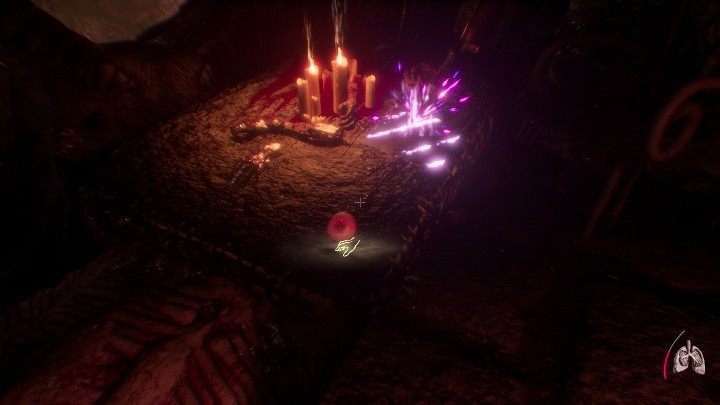 A gate will open at the second level - Where to find a Forbidden Fruits? | Agony - Starting Tips - Agony Game Guide