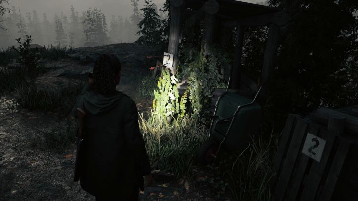 5 - Alan Wake 2: All Cult Stashes in Watery - Cult Stashes - Alan Wake 2 Guide