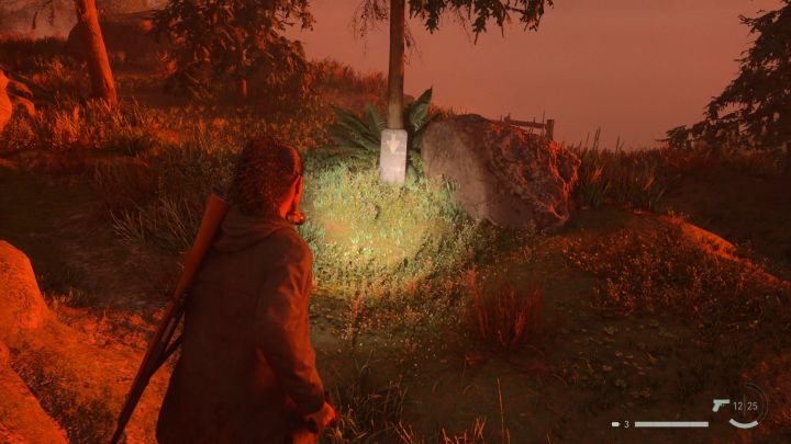 8 - Alan Wake 2: All Cult Stashes puzzles in Bright Falls - Cult Stashes - Alan Wake 2 Guide