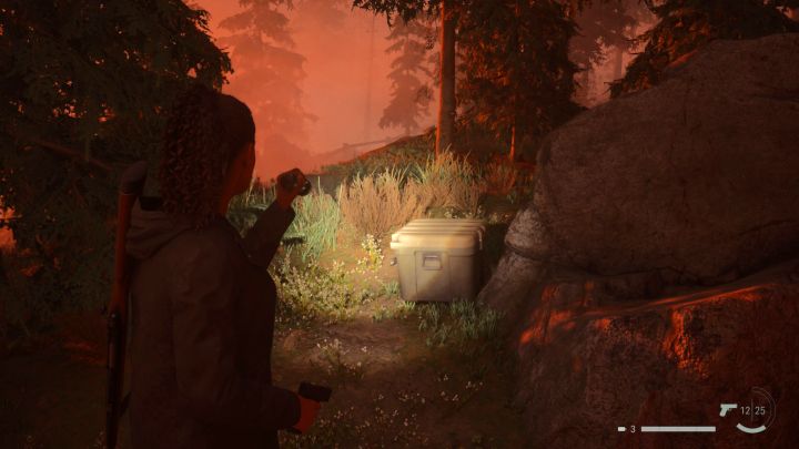 6 - Alan Wake 2: All Cult Stashes puzzles in Bright Falls - Cult Stashes - Alan Wake 2 Guide