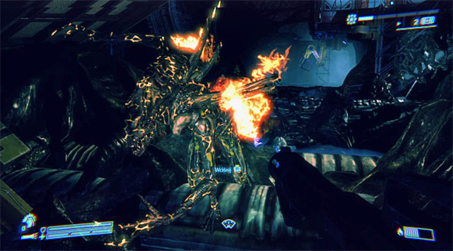 Be cautious, because apart from Facehuggers you'll also come across