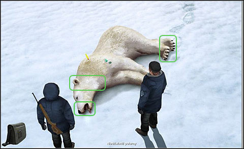 Take closer look (RMB) at the animal (a polar bear) and at its paws, neck and mouth - Stun the bear and perform standard actions - Day 1 - Alpha Polaris - Game Guide and Walkthrough