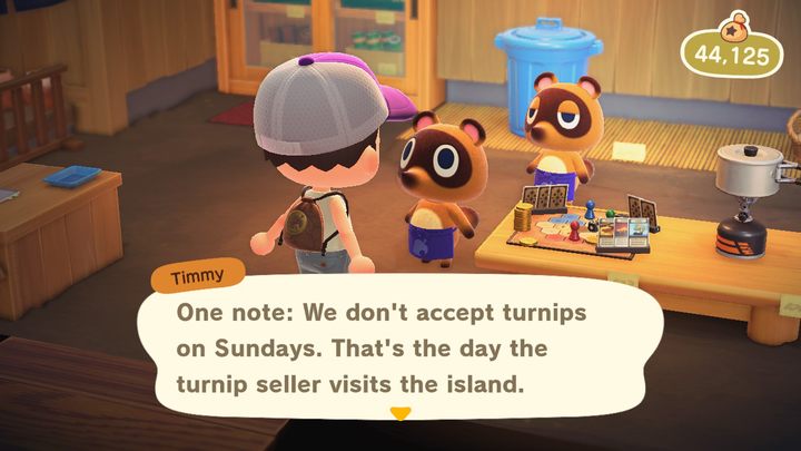 The brothers. - ACNH: Timmy and Tommy - what do they do? where to find? - Characters staying on the island - Animal Crossing New Horizons Guide