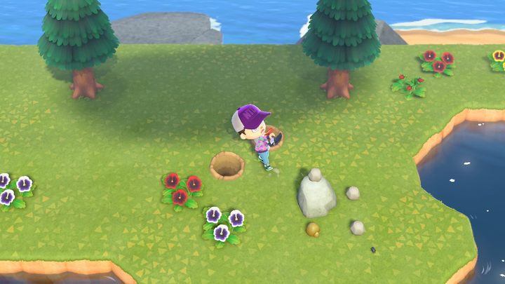 Heres one of the correct ways to hit rocks and stones with a shovel. - ACNH: Easy bells - how to quickly make money? - Gameplay mechanics - Animal Crossing New Horizons Guide