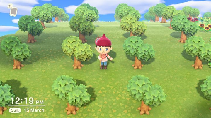 An orchard is a nice way to make a good living. - ACNH: Easy bells - how to quickly make money? - Gameplay mechanics - Animal Crossing New Horizons Guide
