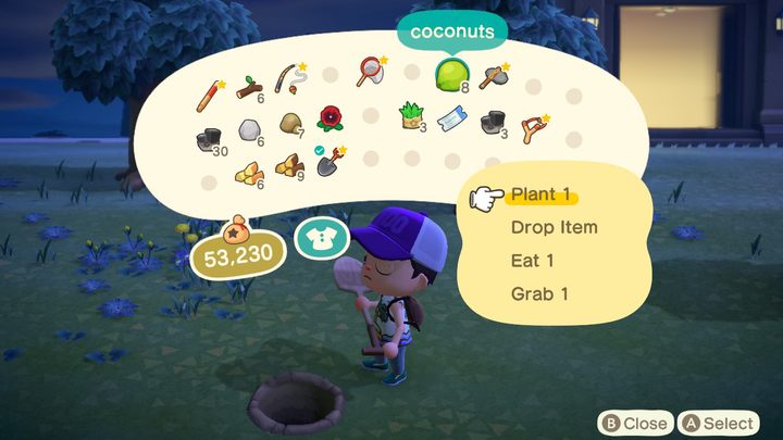 Coconut will only grow on the beach. - ACNH: Fruits - how to get different ones? All fruit trees - Items - Animal Crossing New Horizons Guide