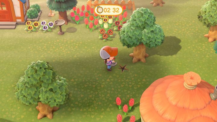 The flowers you can plant on your island are available in the shop in several standard colors (their number depends on the plants species) - ACNH: Hybrid flowers - how to make them? - Basics - Animal Crossing New Horizons Guide