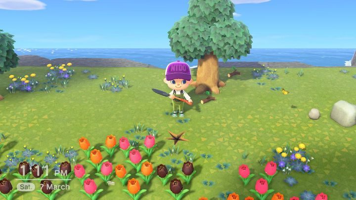 Search for fossils! - ACNH: Daily activities - what is worth doing? - Gameplay mechanics - Animal Crossing New Horizons Guide