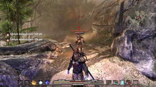 You will get this quest if you talk with Rauter imprisoned in cage on the beach (M3, 2) - Behind the Lava Fields - Walkthrough - Arcania: Fall of Setarrif - Game Guide and Walkthrough