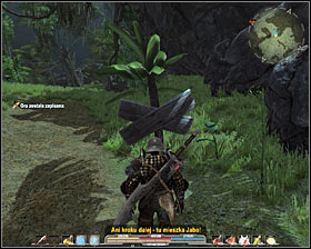 After the battle look for Jabs bag #1 - Quests - p. 1 | The Black Gorges and the Jungle Side Quests - The Black Gorges and the Jungle - Arcania: Gothic 4 Game Guide