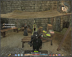 Kill them and take three pondweeds #1 - Quests - p. 3 | Silverlake Side Quests - Silverlake - Arcania: Gothic 4 Game Guide