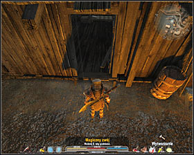 Apart from zombies in the norther part of the village - Quests - p. 2 | Thorniara Main Quests - Thorniara - Arcania: Gothic 4 Game Guide