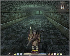 Now you will be able to enter the safe part of the corridor #1 - Quests - p. 1 | The Lost Temple Main Quests - The Lost Temple - Arcania: Gothic 4 Game Guide