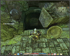 Go further and you will be attacked by a mad Bron #1 - Quests - p. 1 | The Black Gorges and the Jungle Main Quests - The Black Gorges and the Jungle - Arcania: Gothic 4 Game Guide