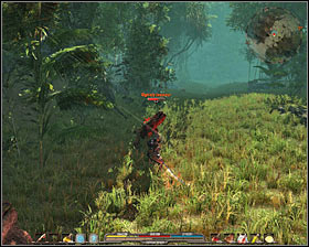 No matter what, you have to go north, so you will be able to reach the jungle #1 (M9, 5)(M10, 1) - Quests - p. 1 | The Black Gorges and the Jungle Main Quests - The Black Gorges and the Jungle - Arcania: Gothic 4 Game Guide