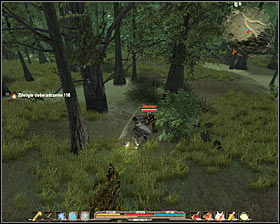 6 - Quests - p. 2 | Marshlands Main Quests - Marshlands - Arcania: Gothic 4 Game Guide