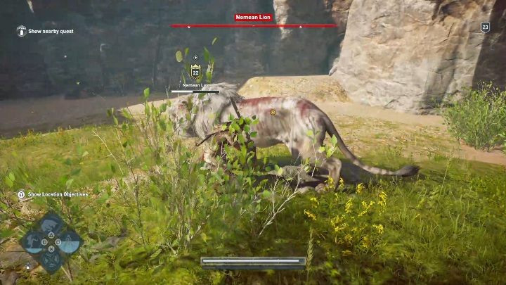 Every once in a while your opponent will call 2 or 3 lions sharing the same level as the Nemean Lion - The Nemean Lion (Argolis) - Hunting for Seven Beasts in Assassins Creed Odyssey - Hunting for Seven Beasts - Assassins Creed Odyssey Guide