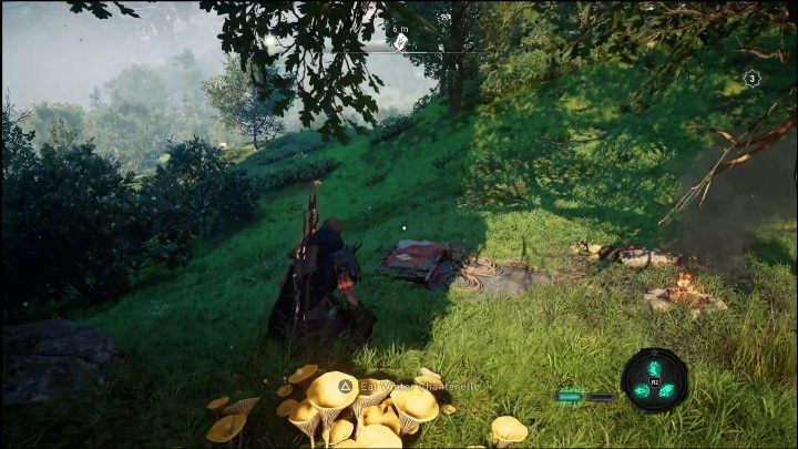 The scheme lies on a small meadow, right next to a small tree - AC Valhalla Dawn of Ragnarok: Cosmetic Schemes (Vangrinn) - list of all - Vangrinn - Assassins Creed Valhalla Guide and Walkthrough