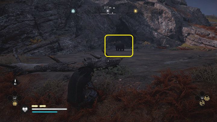 Kill the animal to get the necessary ingredient - Assassins Creed Valhalla: Skal to Your Wealth - Ledecestrescire - Assassins Creed Valhalla Guide and Walkthrough