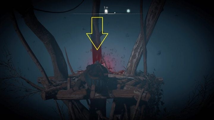 Location of the totem: to get to the totem, you have to climb on a wooden pole and from there jump into the nest - Assassins Creed Valhalla: Cursed symbol - Sciropescire secrets, locations - Sciropescire - Assassins Creed Valhalla Guide and Walkthrough
