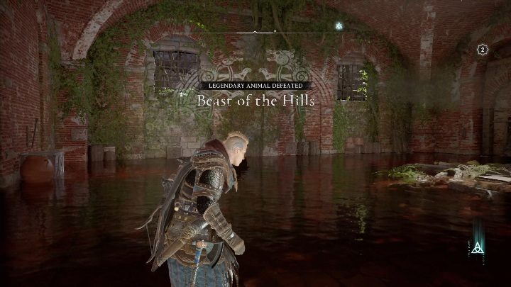 However, in order for the location to be cleared you have to return to the arena - Assassins Creed Valhalla: Legendary Animal - Sciropescire secrets, locations - Sciropescire - Assassins Creed Valhalla Guide and Walkthrough