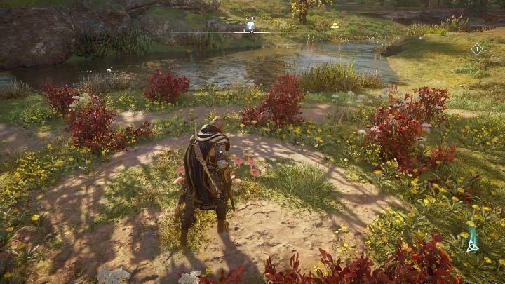 You will find the Fly Agaric in the northern part of the region - Assassins Creed Valhalla: Fly Agaric - Hamtunscire secrets, locations - Hamtunscire - Assassins Creed Valhalla Guide and Walkthrough