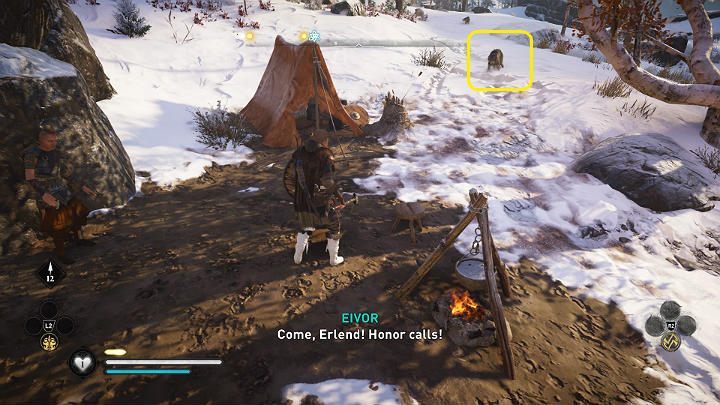 Near his camp you will meet several wolves fighting polar bears - Assassins Creed Valhalla: The Hunt for Honor - Rygjafylke - Assassins Creed Valhalla Guide and Walkthrough