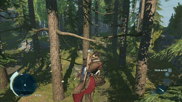 A new addition to Assassins Creed III are big and vast forests - Climbing trees in Assassins Creed III Remastered - Exploration - Assassins Creed III Game Guide & Walkthrough