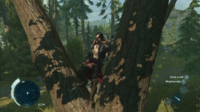 If you want to climb higher, you need to use the jump button - Climbing trees in Assassins Creed III Remastered - Exploration - Assassins Creed III Game Guide & Walkthrough