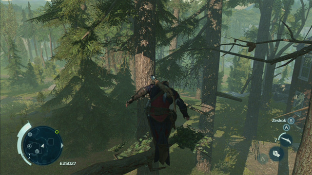 Examine both items, head to the balcony and jump between branches to reach the designated area - Everyday life | Homestead | Assassins Creed III Remastered - Homestead - Assassins Creed III Game Guide & Walkthrough