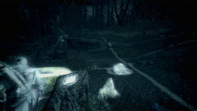 After examining the trace, you will have to match the symbol to the shining environment parts - Naval mission - Oak Island | Captain Kidds treasure in AC III Remastered - Captain Kidds treasure - Assassins Creed III Game Guide & Walkthrough