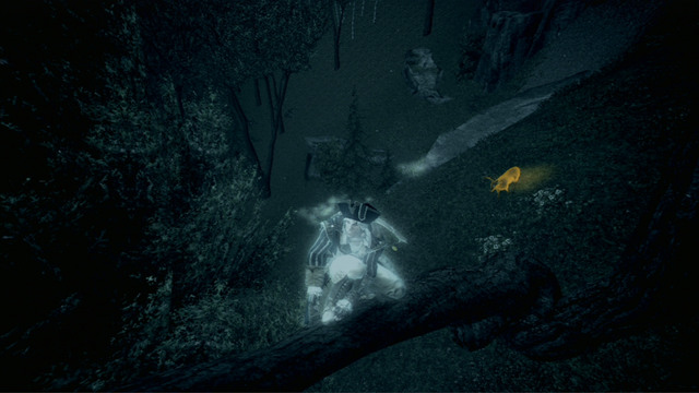 The animal youre hunting should shine gold - The Hunting Society in Assassins Creed III Remastered - Guild missions - Assassins Creed III Game Guide & Walkthrough