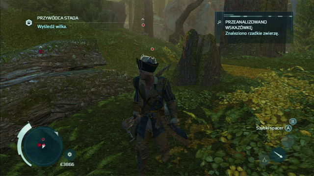 Approach the second trace and you will be attacked by a group of animals - The Hunting Society in Assassins Creed III Remastered - Guild missions - Assassins Creed III Game Guide & Walkthrough