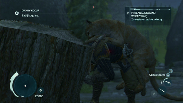 In the middle you will find the beast youre looking for - The Hunting Society in Assassins Creed III Remastered - Guild missions - Assassins Creed III Game Guide & Walkthrough