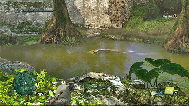 Edward the assassin, crocodile hunter. - Hunting of land animals - how to do it? - Hunting - Assassins Creed IV: Black Flag Game Guide & Walkthrough