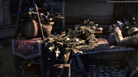 You'll find a florist there, who unfortunately has no flowers you're looking for - Memory 4 - Sequence 6 - Fortune's Disfavor - Assassins Creed: Revelations - Game Guide and Walkthrough