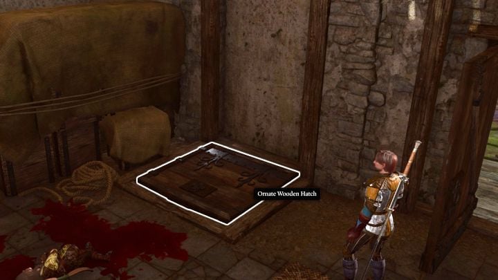 5 - Baldurs Gate 3: Toll House Basement secret room - Baldurs Gate 3: Puzzles - Baldurs Gate 3 Guide, Walkthrough