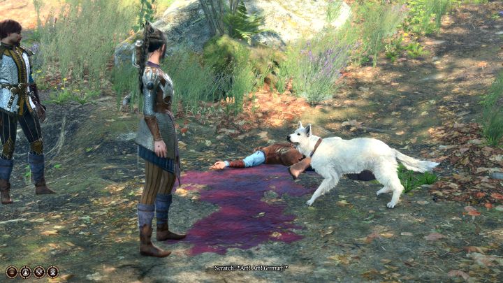 1 - Baldurs Gate 3: How to adopt Scratch the dog? - Baldurs Gate 3: Character & party development - Baldurs Gate 3 Guide, Walkthrough