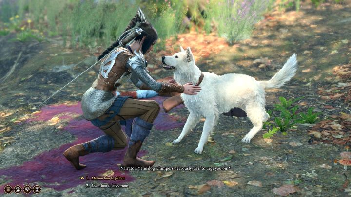 Your task is to tame a dog so that it can be stroked and adopted by the main character - Baldurs Gate 3: How to adopt Scratch the dog? - Baldurs Gate 3: Character & party development - Baldurs Gate 3 Guide, Walkthrough