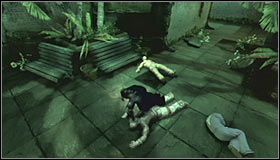 Climb up a few times and after a short while youll have to use a hook to move on - Walkthrough - Botanical Gardens - part 1 - Walkthrough - Batman: Arkham Asylum Game Guide & Walkthrough