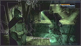 5 - Collectibles - Botanical Gardens - part 4 - Collectibles - Batman: Arkham Asylum Game Guide & Walkthrough