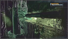 6 - Collectibles - Botanical Gardens - part 4 - Collectibles - Batman: Arkham Asylum Game Guide & Walkthrough