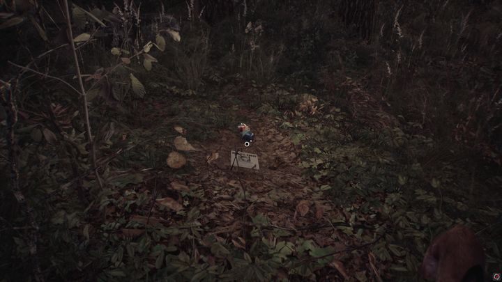 Examine them and then follow the path to the right of the place where you found the remains - Chapters 1, 2 and 3 | Blair Witch Walkthrough - Walkthrough - Blair Witch Guide