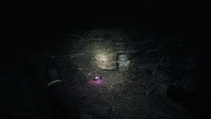 Your partner will get a lead - Chapters 1, 2 and 3 | Blair Witch Walkthrough - Walkthrough - Blair Witch Guide