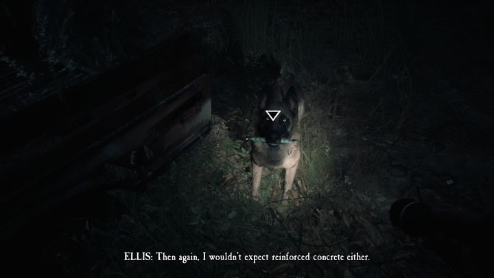 During your adventure will be accompanied by a dog - Bullet - General tips | Blair Witch - Basics - Blair Witch Guide